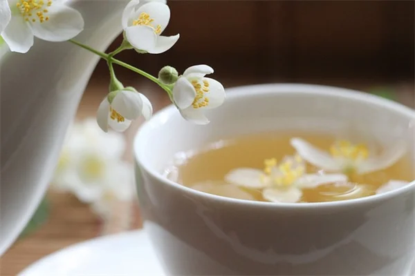 秋に剪定してはいけない7つの植物！間違えると花が咲かない理由