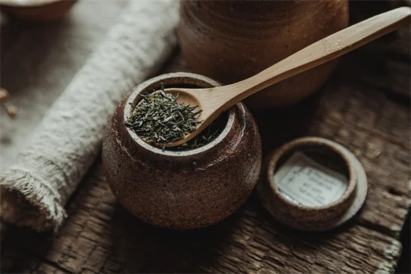 マルチングのやりすぎで植物が枯れる？知っておくべき危険と正しい敷き方